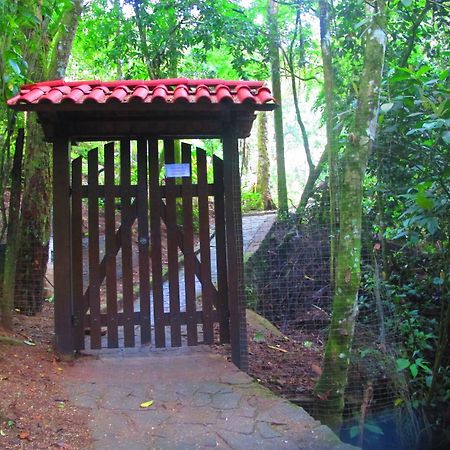 Bangalo Na Acqua Jungle Lodge イーリャ・グランデ エクステリア 写真