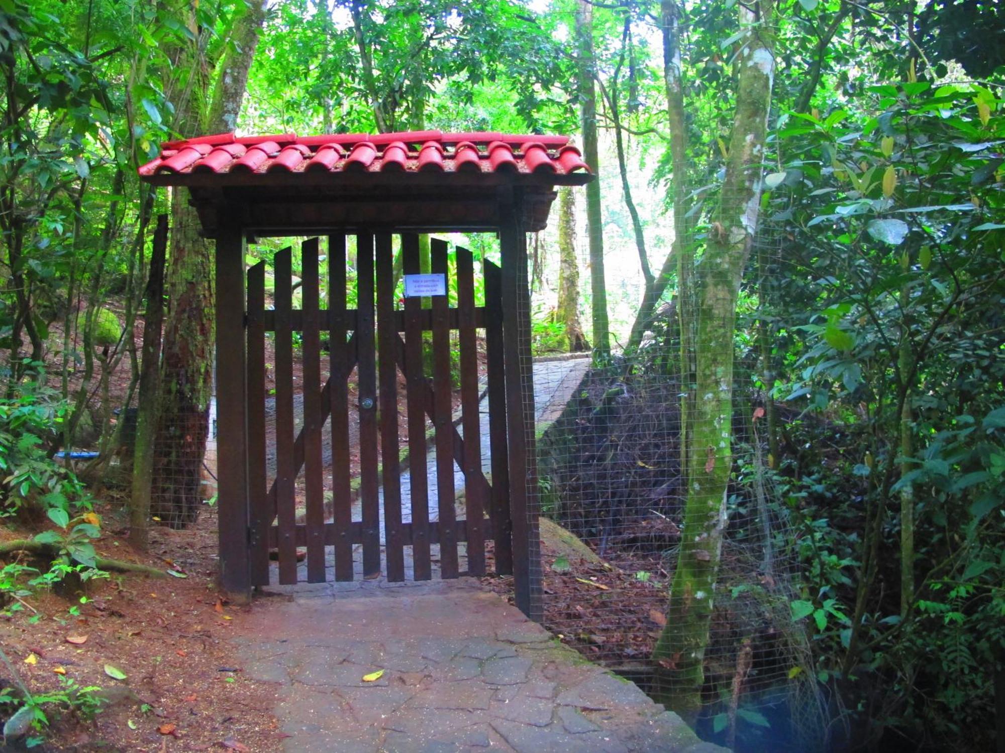 Bangalo Na Acqua Jungle Lodge イーリャ・グランデ エクステリア 写真